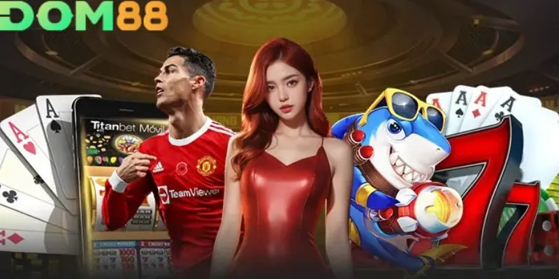 Giới thiệu về DOM88